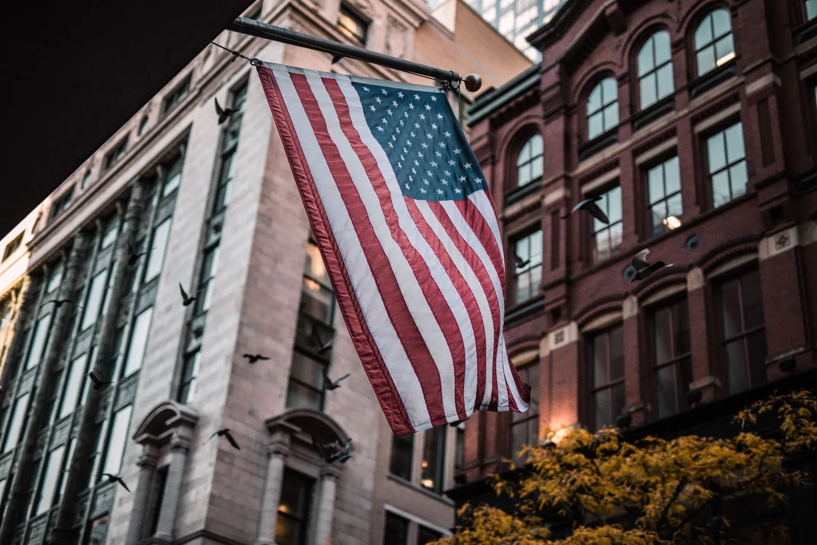 American flag hanging from a pole between a stone office building and a red-brick building, with pigeons in flight